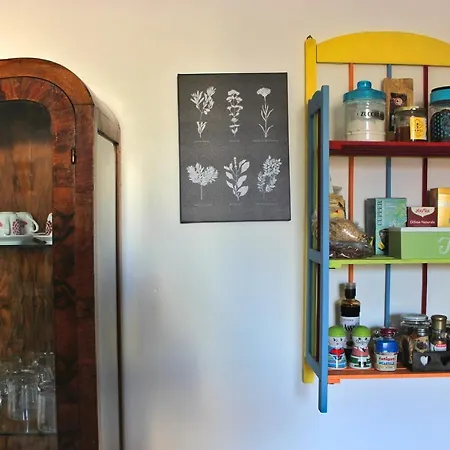 Alkenhouse Ballaro Apartment *